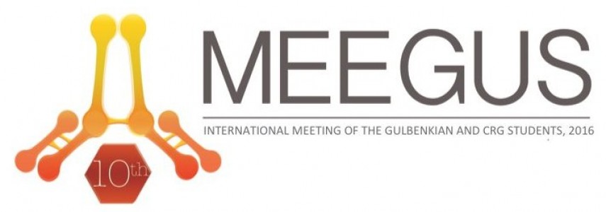 ameegus_logo2