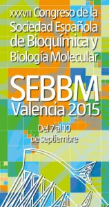 banner_valencia230x435