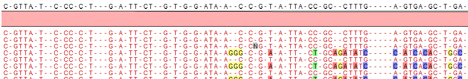 exome 01