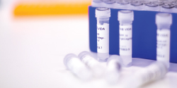 standard dna oligos